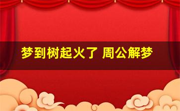 梦到树起火了 周公解梦